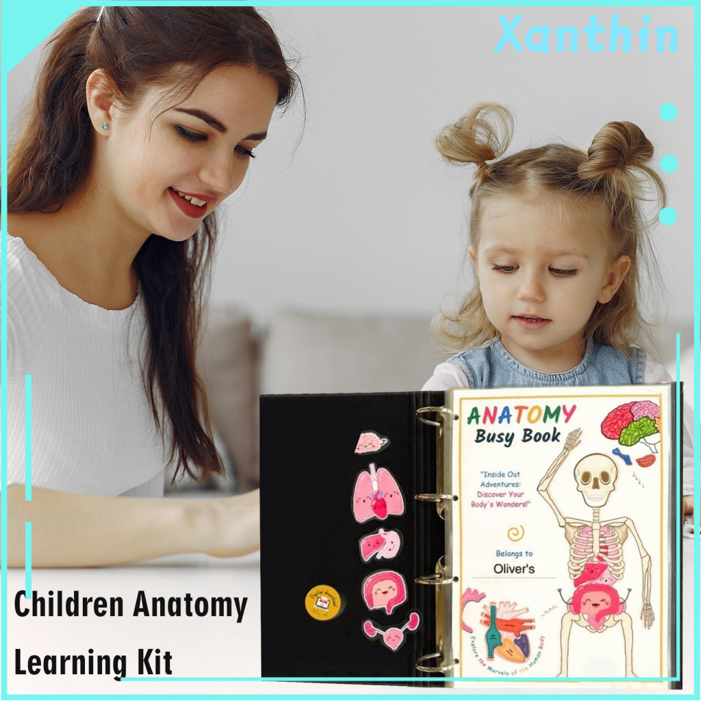 Interactive Human Anatomy Book Kids Anatomy Workbook Interactive Body