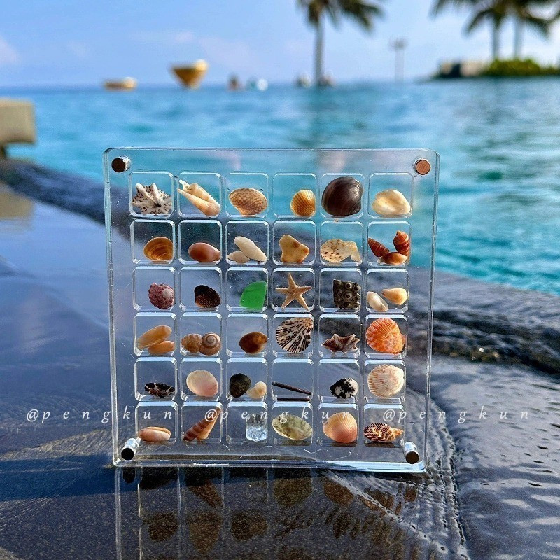 Shell Storage Box Acrylic Transparent Miniature Stone Seaside Specimen ...