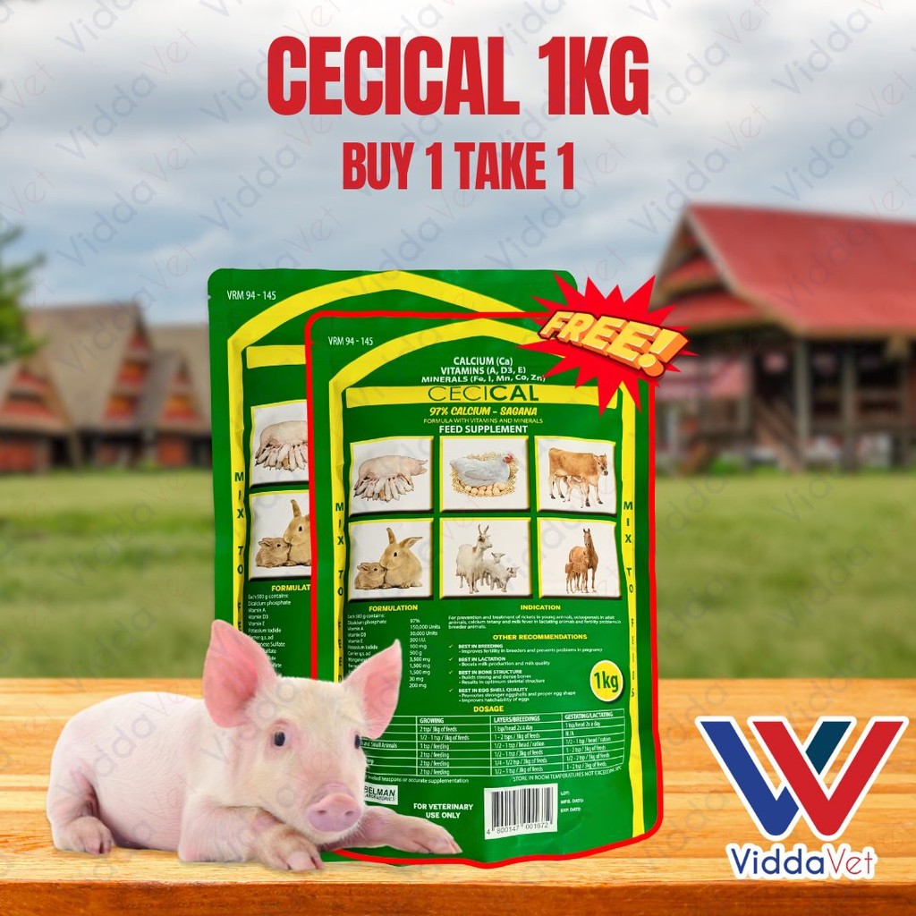 Cecical Powder 1kg – Digestive Health Supplement for buy one take one ...