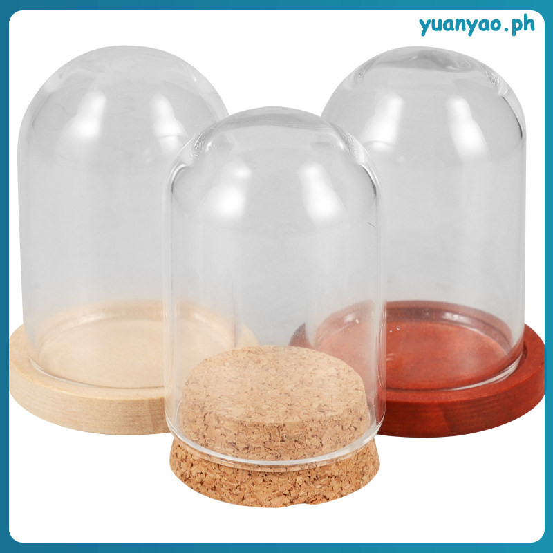 3 Sets Glass Flower Vases Decorative Cloche Display Dome Case for