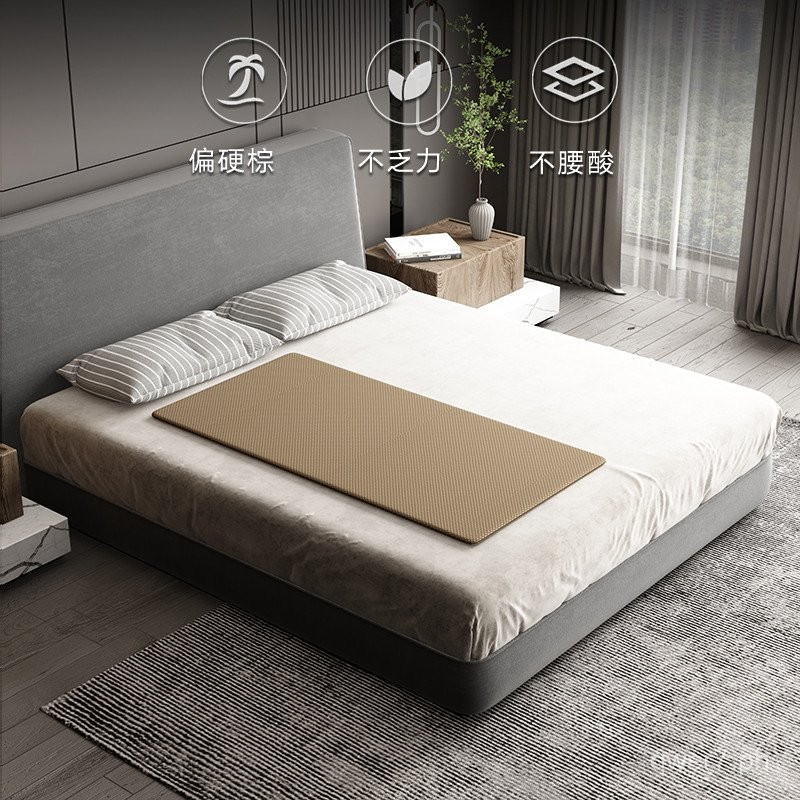 Hardened Thin Mattress Coconut Palm Waist Support Sofa Bed Board Single