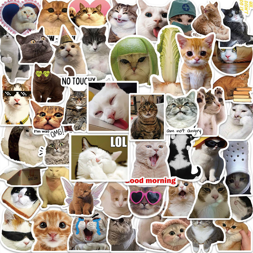 50pcs Cute Kittens Cats MEME Waterproof Stickers For Notebook Laptop ...