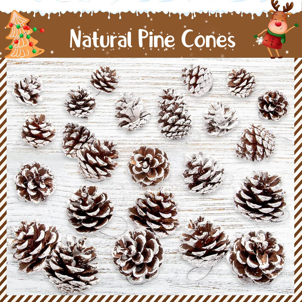 Shop pine cones for Sale on Shopee Philippines