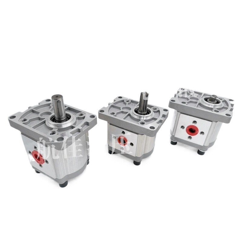 [Daniel]๑㍿ Hydraulic gear pump oil pump assembly CBNF304/CBT306F310