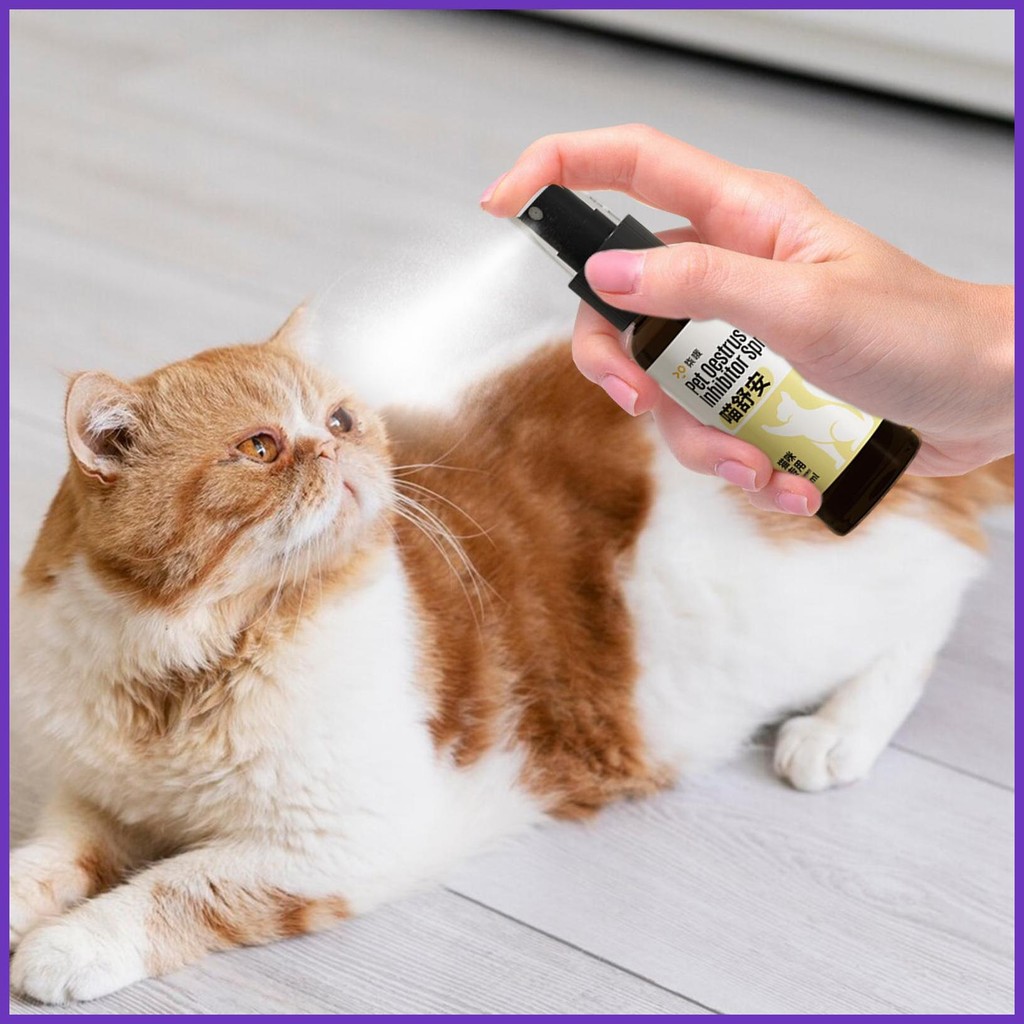 View of Calming Pheromones For Cats 50ml Natural Calming Solution For Cats ...