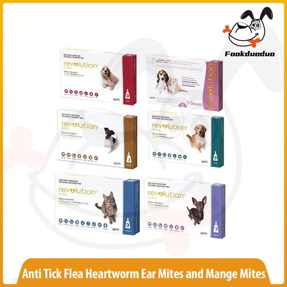 Photo inspiration: Flea And Mite Control For Cats With Mites Reference: Revolution Anti Tick Flea Heartworm Ear Mites And Mange Mites