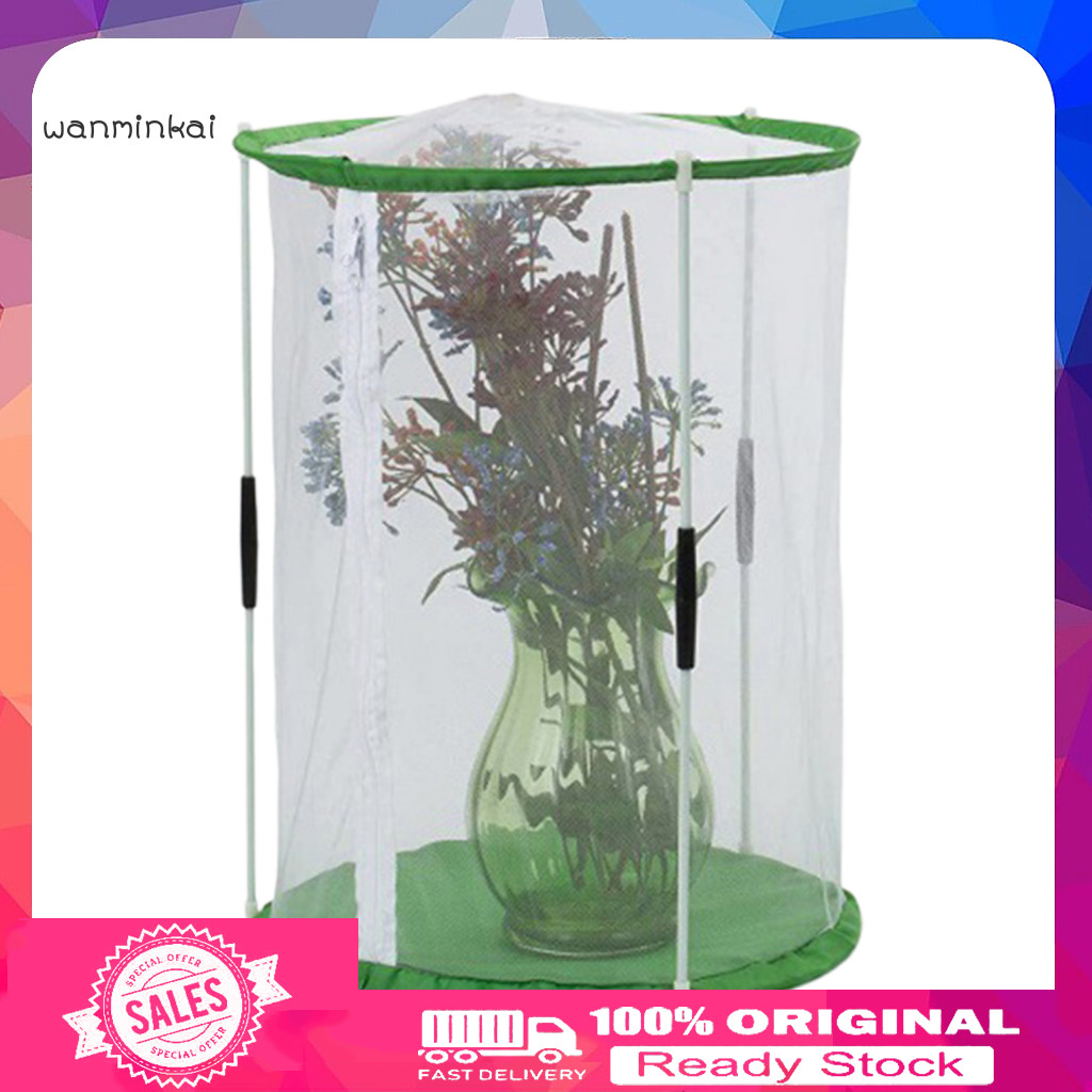 [Ready stock] Mini Greenhouse for Plants Observation Cage Portable ...