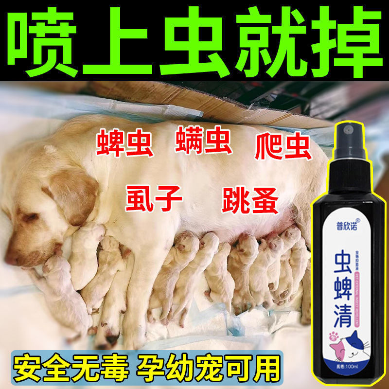 [Insect Repellent Does Not Hurt Pets]Dog Insect Repellent Tick Flea Cat ...