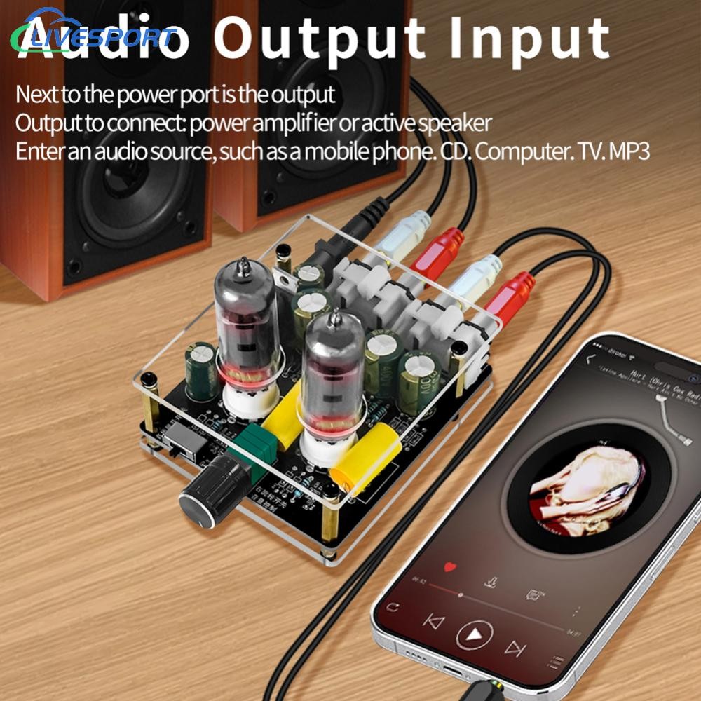 6K4 Röhrenvorverstärker Board - HiFi Audio Preamp Mit Kippschalter