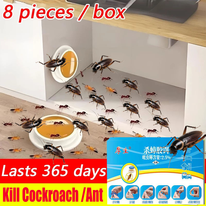 8pcs Cockcroach Eliminator Products Killer Cockroach Traps Killer ...
