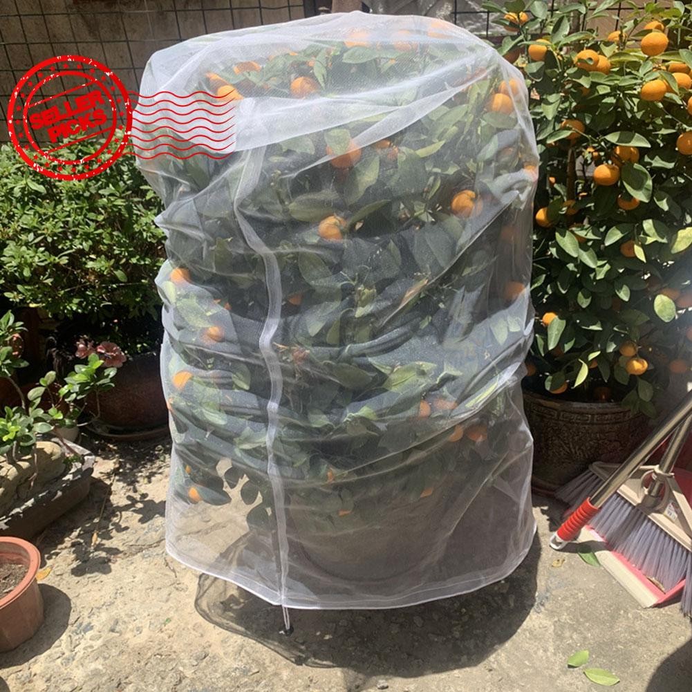 Large Fruits Tree Netting Garden Insect Netting Plant Preventing Fruits ...