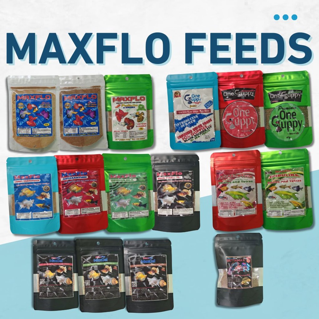 MaxFlo | MaxGel | One Guppy | BettaMax | MaxGum Fish Food – Guppy ...