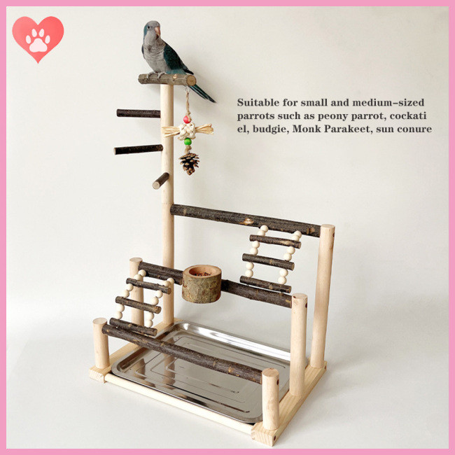 View of Amostlycute Bird Playground, Parrot Natural Wood Perch Stand With ...