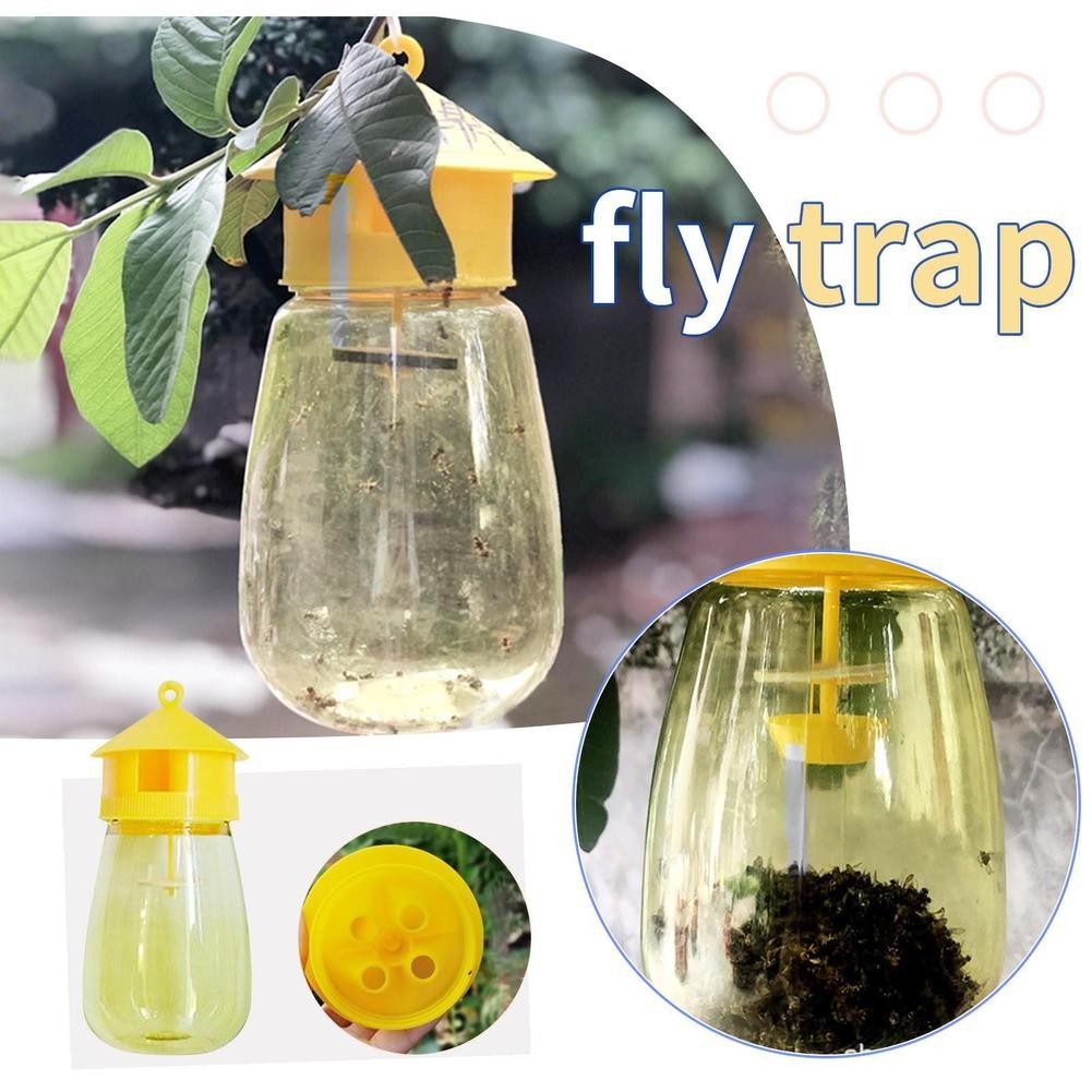 Fruit Insect/Flies Farm Trap Fruit Fly Trap New Four Holes Latest ...