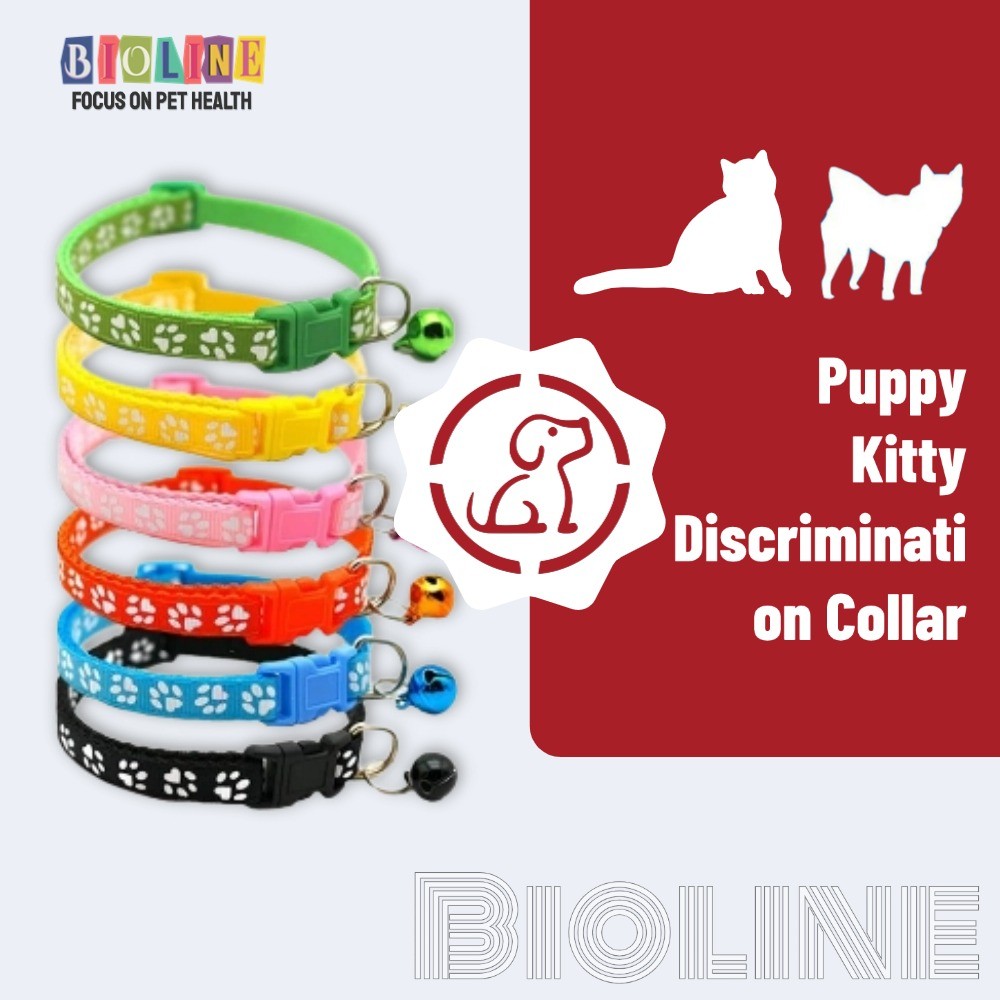 Dog Collar Pet Cat Collar Adjustable Safety Reflection Collars with ...