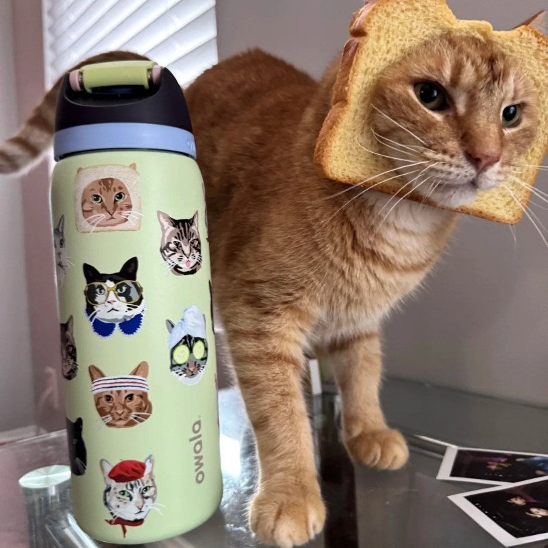 Owala FreeSip Cat Collage Urban Outfitters Limited Edition Tumbler