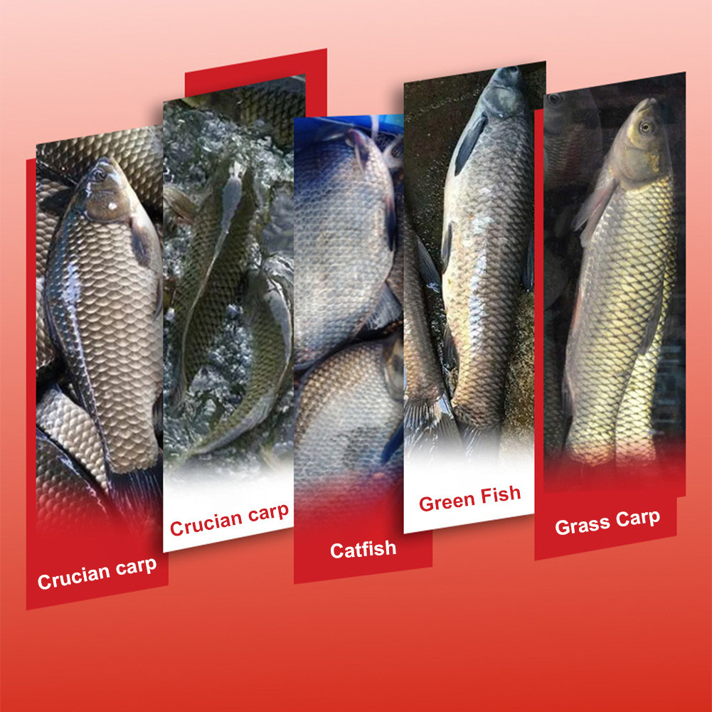 100g/200g Fish Bait Blood Wheat Fishing Fairy Grain Carp Fishing Pellet ...