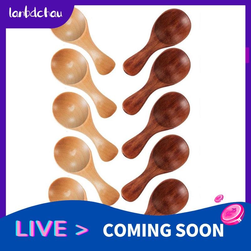 10 Small Wooden Spoons Mini Seasoning Sugar Seasoning Salt Honey