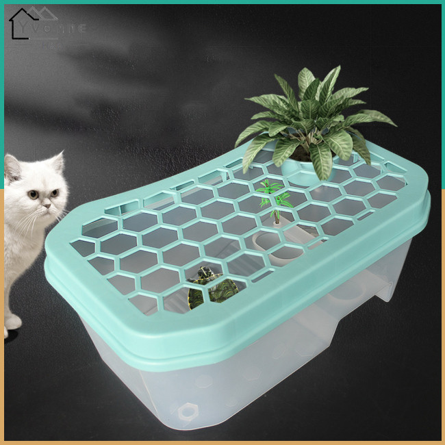 YVONNE Mini Turtle Tank With Basking Platform 5 Area Design Translucent ...