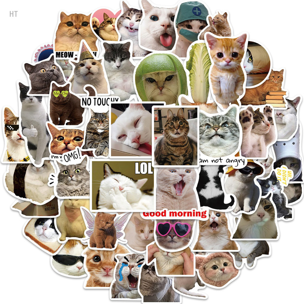 50pcs Cute Kittens Cats MEME Waterproof Stickers For Notebook Laptop ...