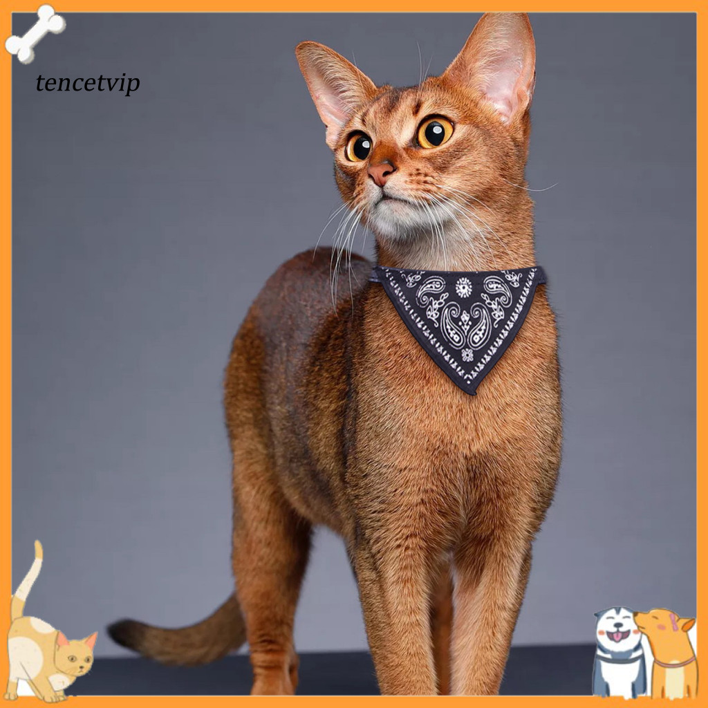 Vip Ethnic Print Pet Collar Fashionable Pet Accessories Ethnic Print