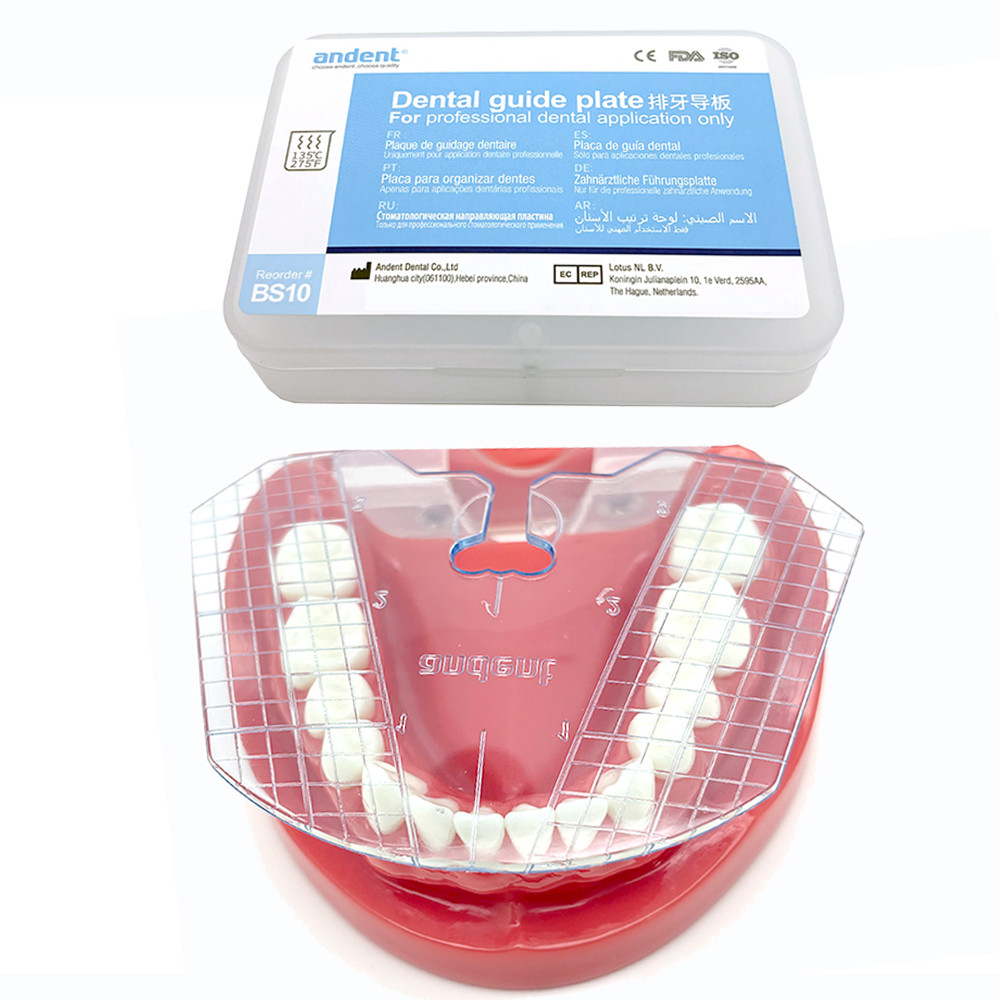 Dental Guide Plate Oral Tooth Arrangemen Measurement Tools Tooth ...