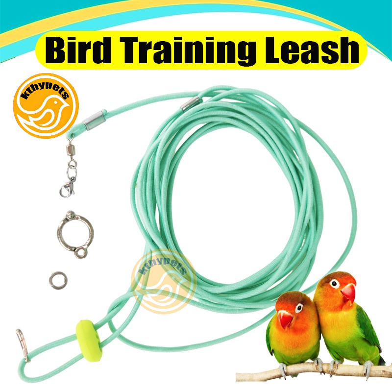 Bird Flying Leash Rope with Leg Ring for Parrot African Lovebirds Pet ...