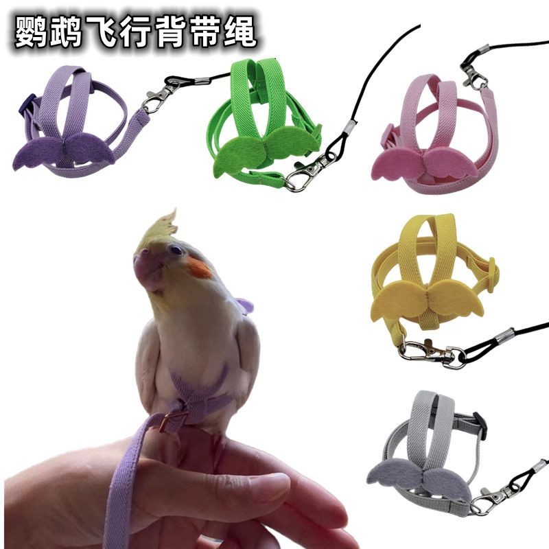 Parrot Flying Harness 16.4ft Parrot Flying Leash With 3 Size Foot Rings - Anti-Bite Training Rope For Birds Bird Flying Harness