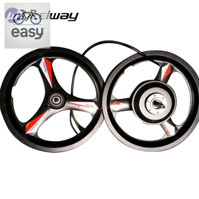 14 Inch Magnesium Alloy One Wheel Front And Rear Hub Motor Bicycle