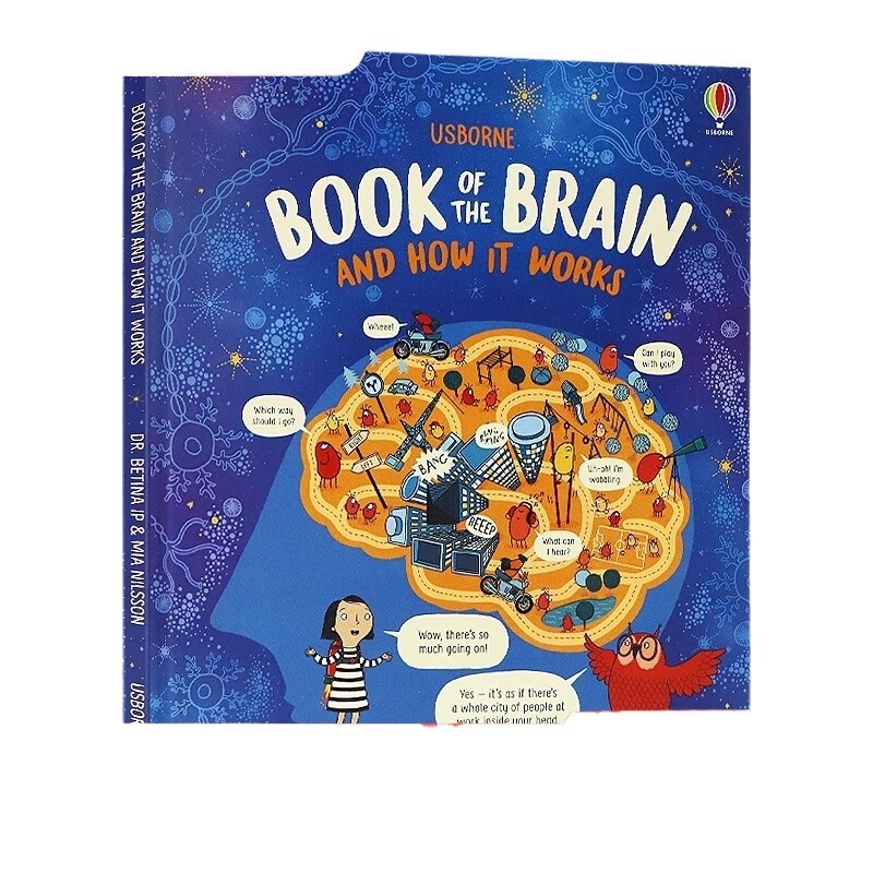 Book of the Brain and How It Works Usborne How the Brain Works Children ...