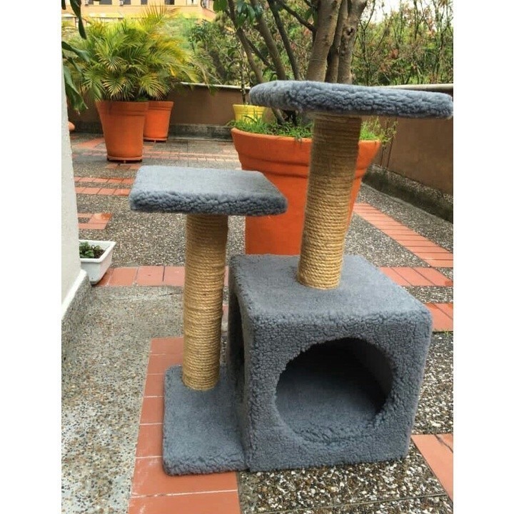 Cat Condo, An Interactive Cat House, A Toy Bayza Toy Or A Nice Cat