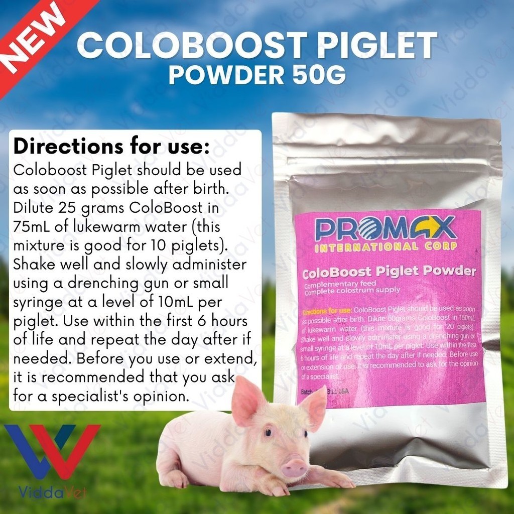 COLOBOOST PIGLET POWDER 50GRAMS good for 20 piglets ColoBoost Baby Pig ...