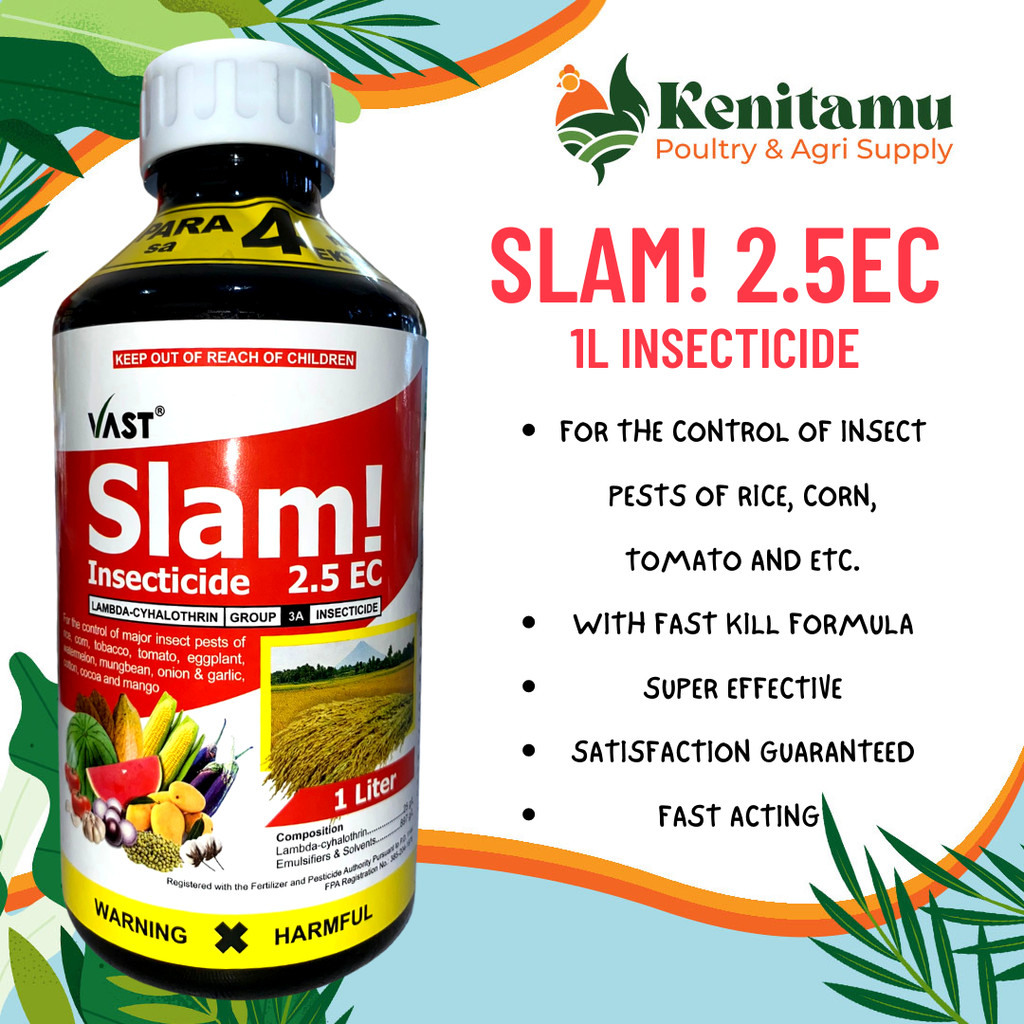 SLAM 2.5EC 1L Insecticide by Vast Karate-Type Formula for Plant Care ...