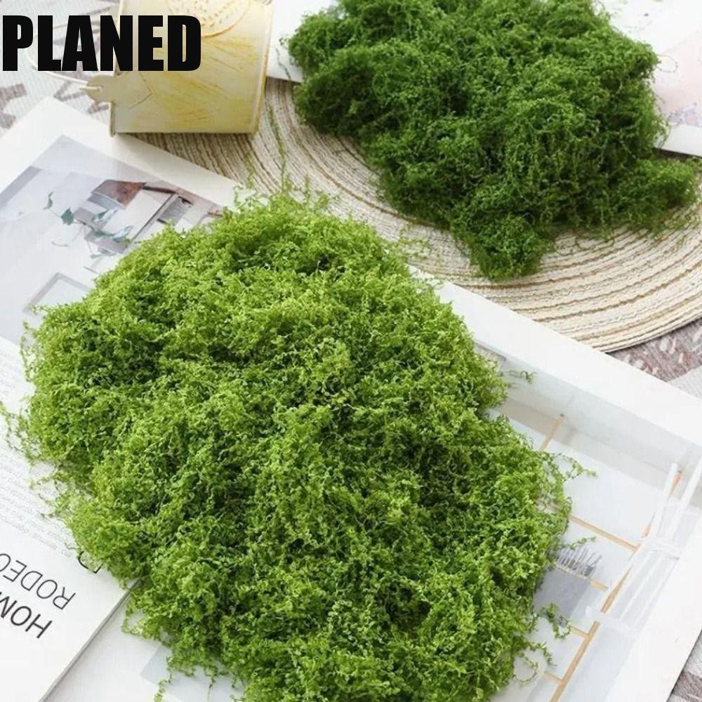 PLANED Artificial Filamentous Moss, Durable DIY Fake Moss, Garden Craft ...