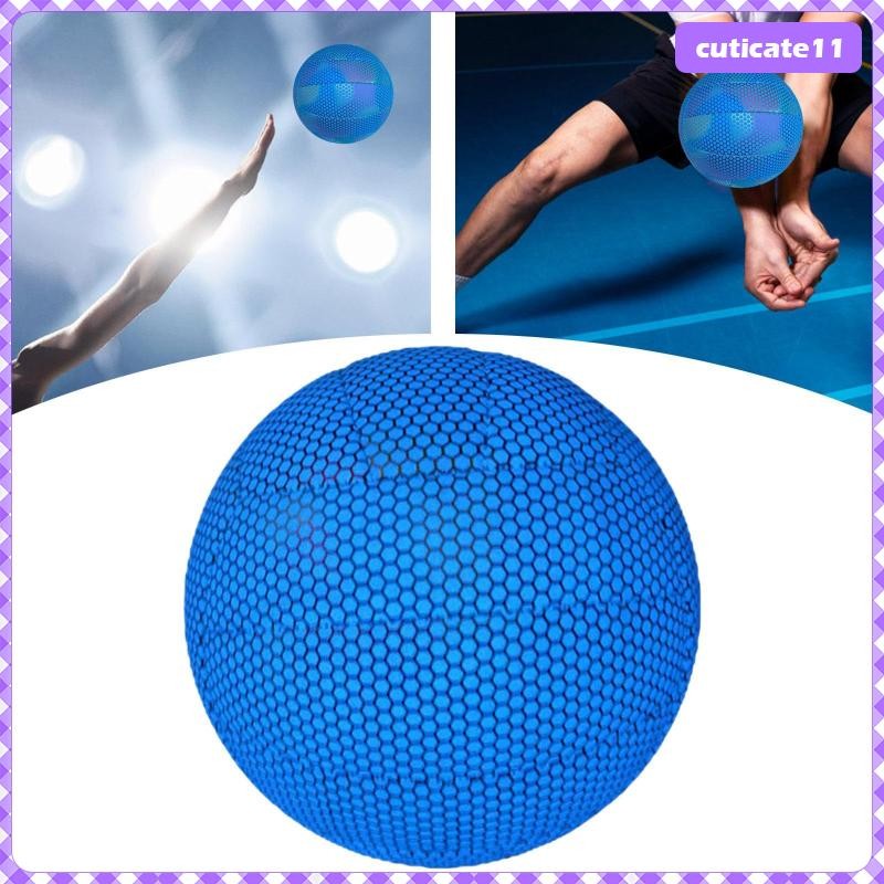 [Cuticate1] Holographic Volleyball, Indoor Outdoor Volleyball, Glowing