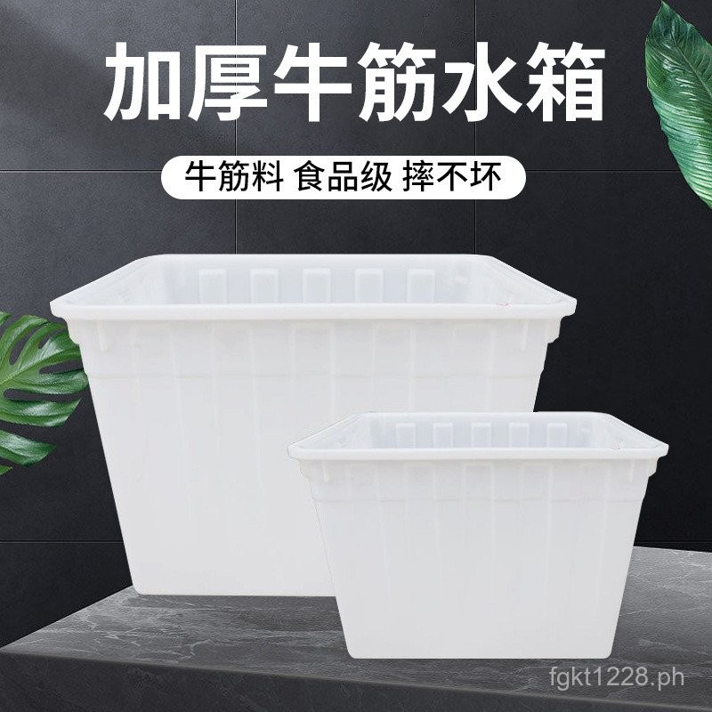 Plastic Thickened Large Water Tank for Breeding Fish, Rectangular ...