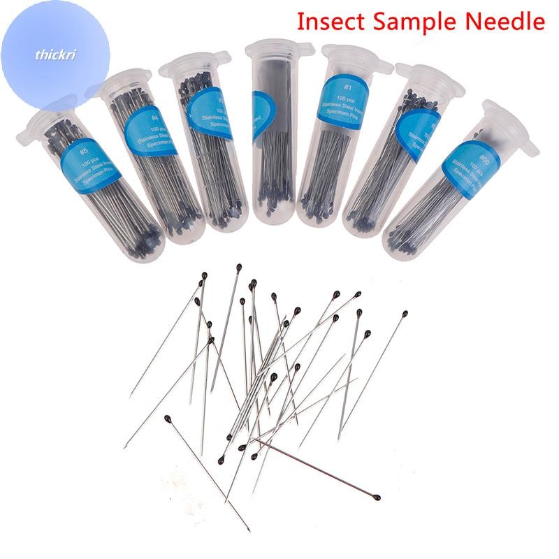 THICH 100Pcs Insect Pins Specimen Stainless Steel for School Lab ...