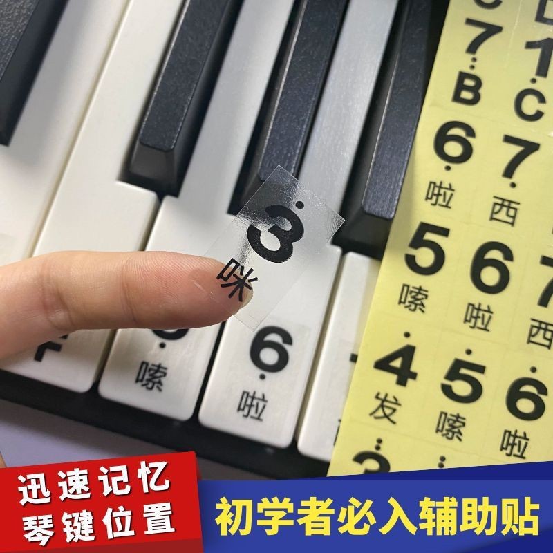 Key Sticker Key Electronic Keyboard Sticker Key Piano Key Position ...