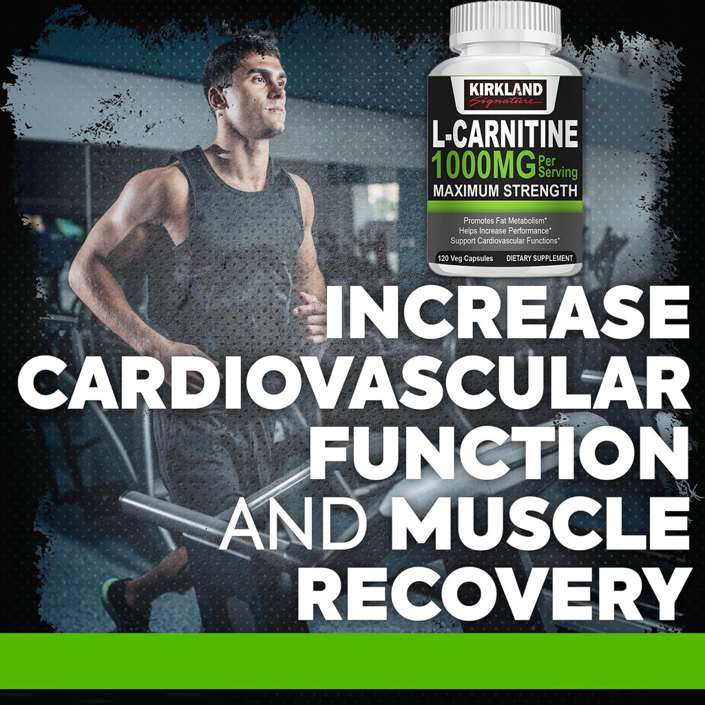 KIRKLAND L-Carnitine 1000mg Capsule Burn Fat Fully Antioxidant &  Cardiovascular Health