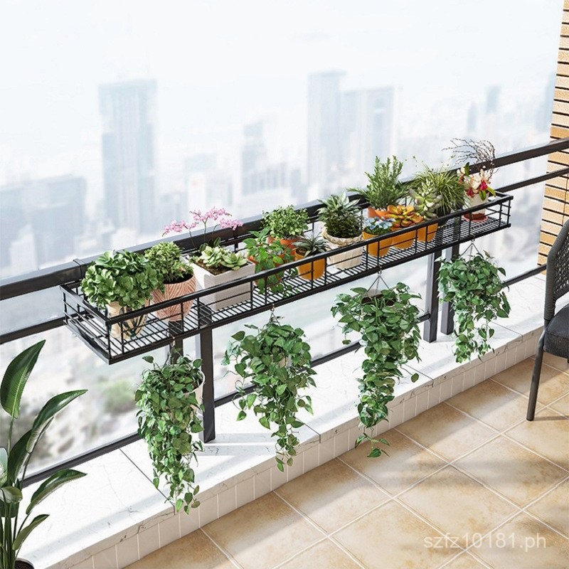Green Radish Floor Hanging Orchid Special Price Home Bedroom Multi ...