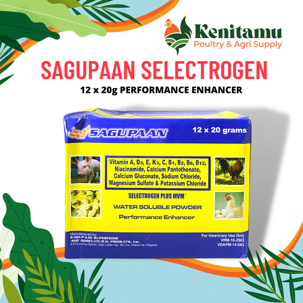 SELECTROGEN PLUS MVM Electrolytes + Multivitamins 12 x 20g Sachets (1 ...