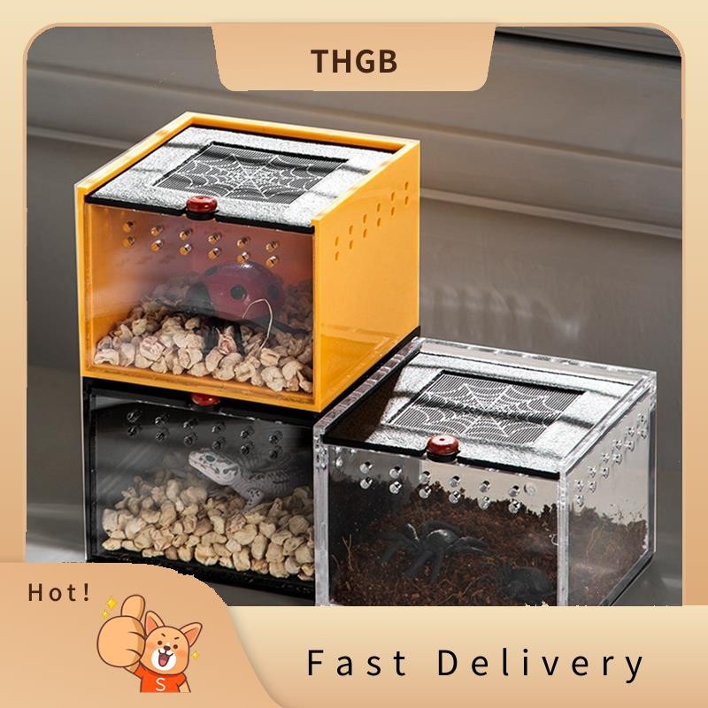 Spider Enclosure Small Insect Breeding Box Prevent Escape Reptile ...