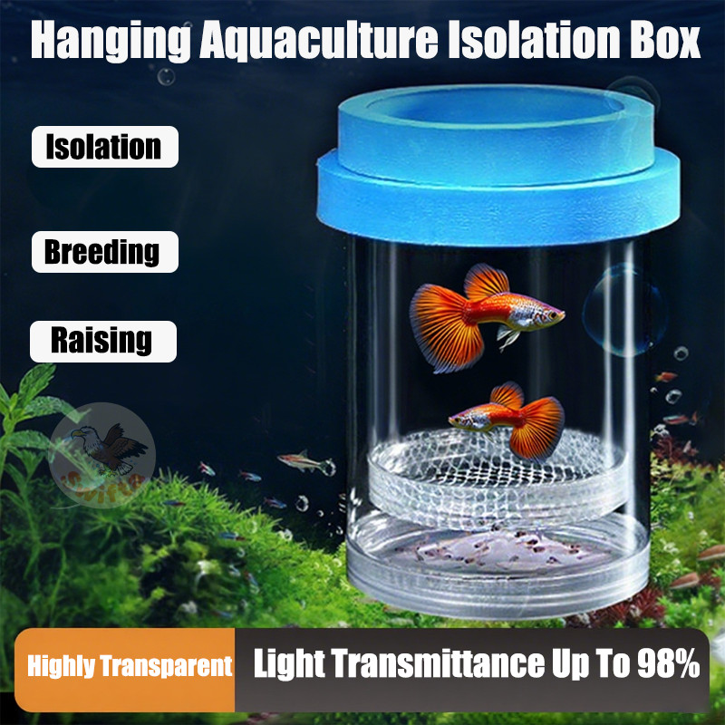 Floating Fish Breeding Isolation Box Transparent Plastic Net Floating ...