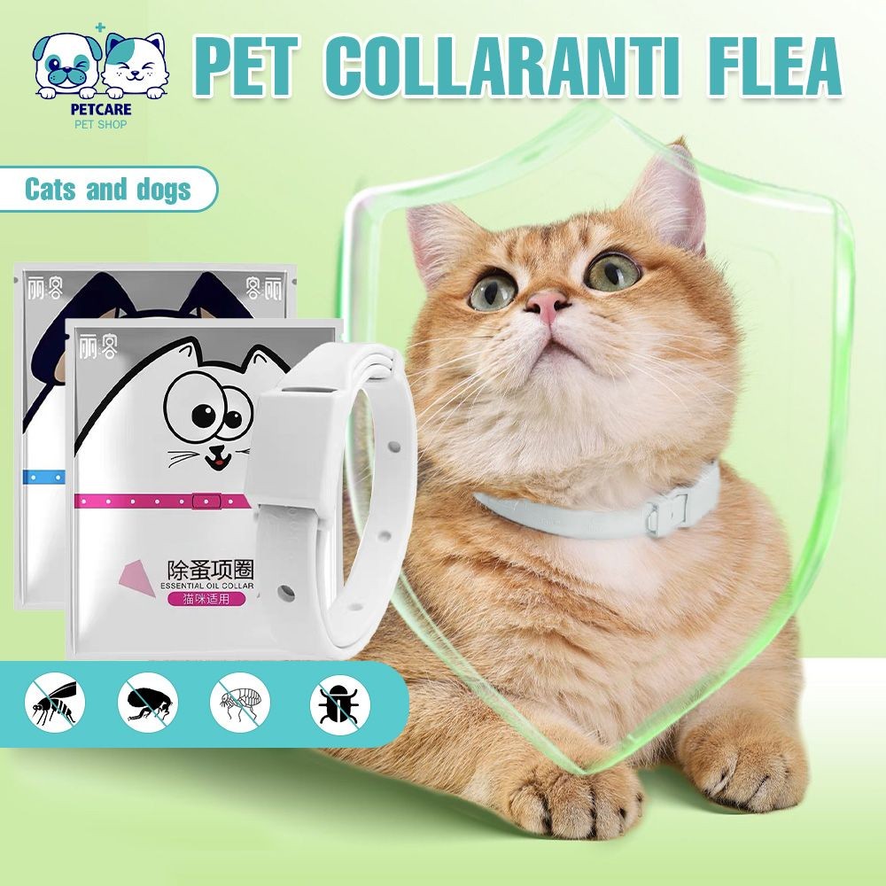 Picture of Pet Flea Collar Adjustable Dog Cat Anti Tick Collar Long Lasting ...