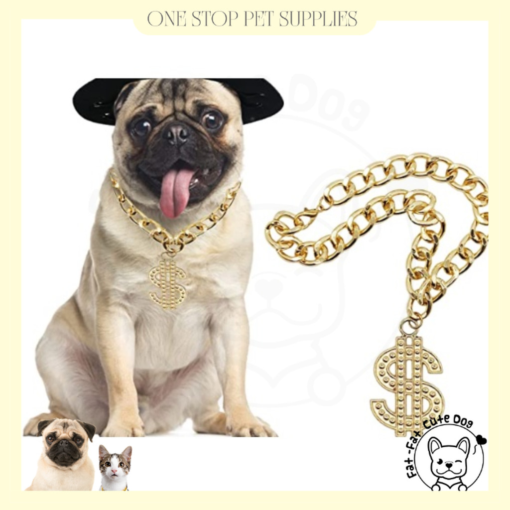 Fake gold chain dog collar hotsell