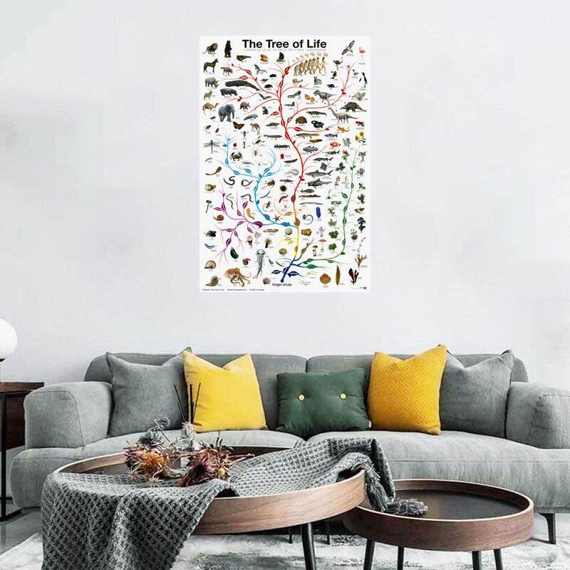 Picture Peddler Evolution The Tree of Life Novelty Biology Science ...