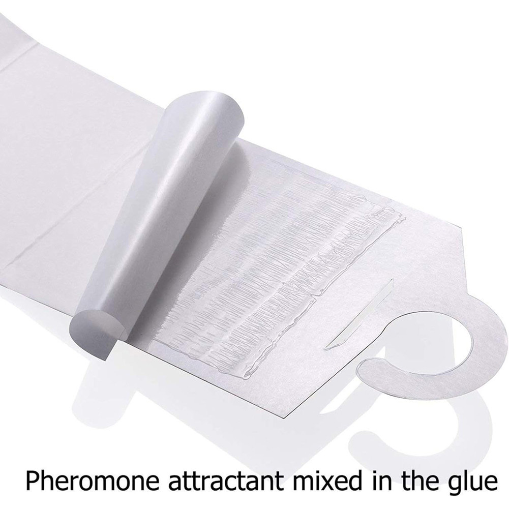 6Pcs Moth Pheromone Trap NonToxic Paste Sticky Glue Trap Safe for