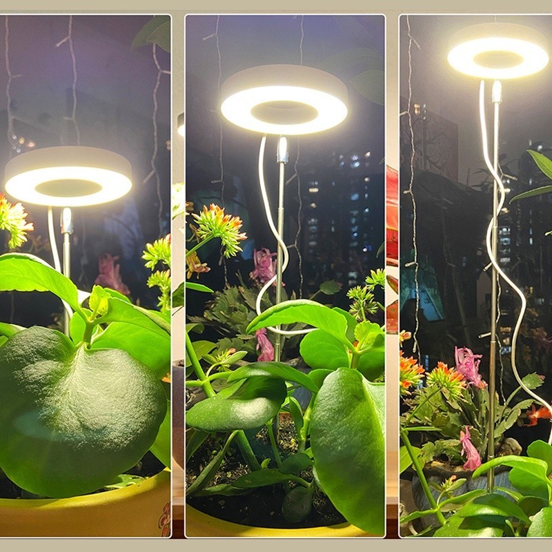 USB LED Grow Light Full Spectrum Phyto Grow Lamp USB Phytolamp for ...