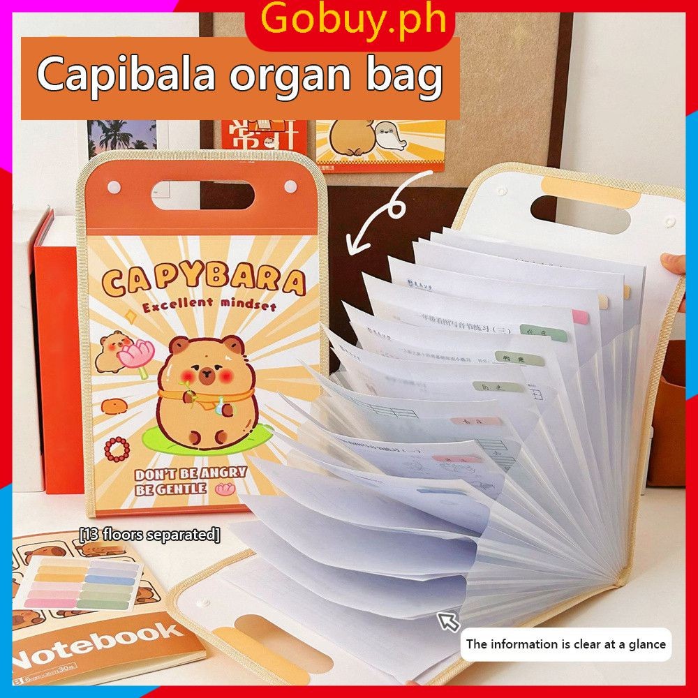 New Capybara A4 File Folder Creative Cartoon Test Paper Storage Folder ...