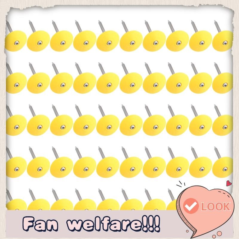 Plastic Cap Nails for House Wrap Fastening Foam Board Roofing Felt